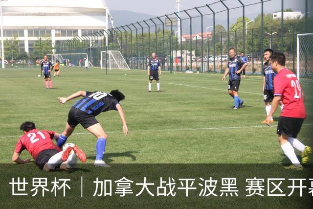 世界杯｜加拿大战平波黑 赛区开幕式表演“翻车”