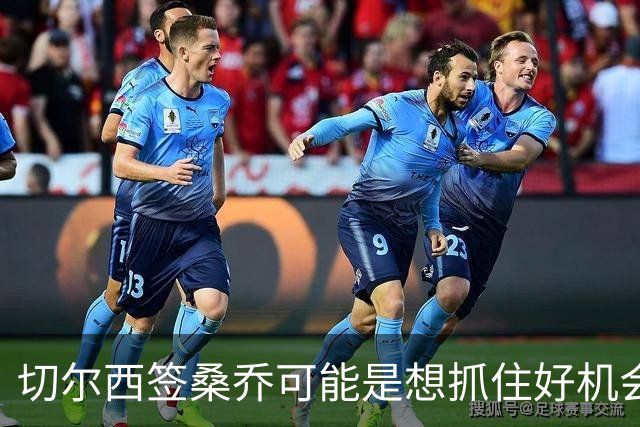 切尔西签桑乔可能是想抓住好机会 目前转会费合理
